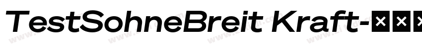 TestSohneBreit Kraft字体转换